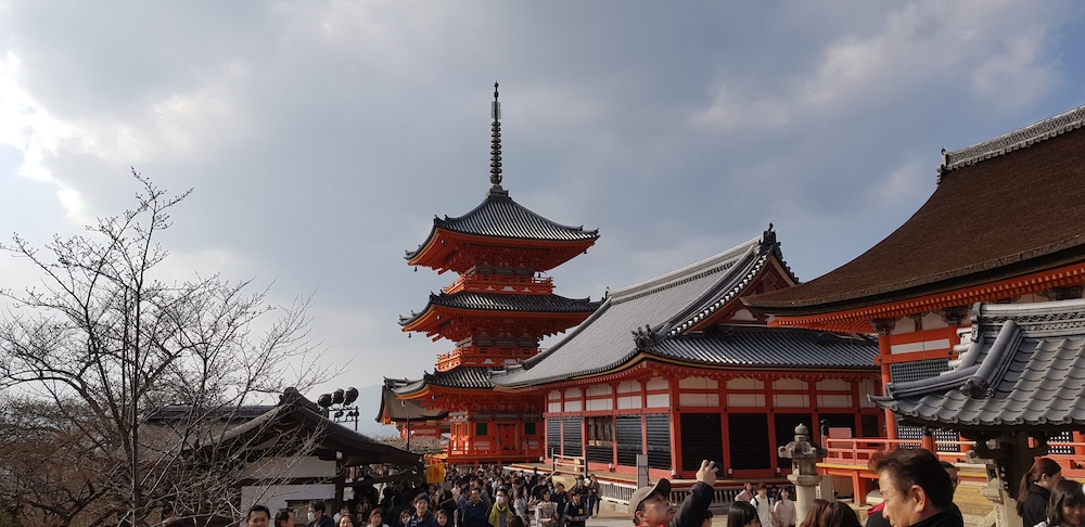 キキカサ京都 京都