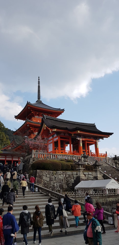 キキカサ京都 京都
