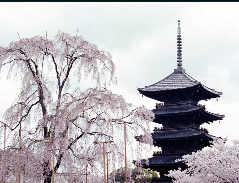 HANABI 京都 京都