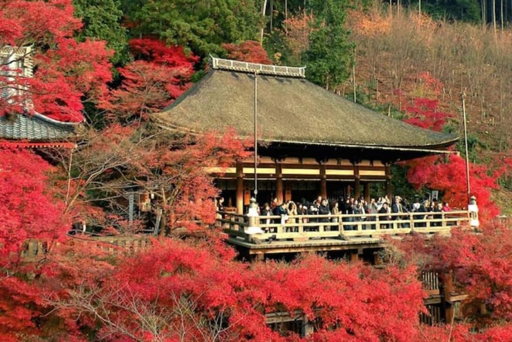 HANABI 京都 京都
