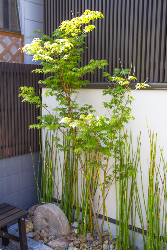 JAPANING KYOTO 京都