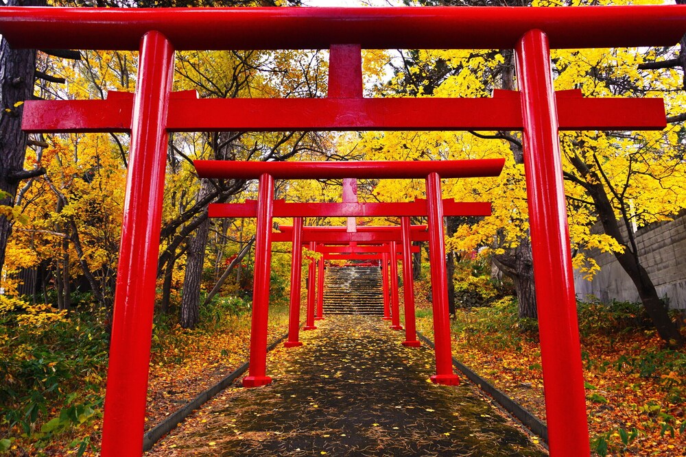 STAY SAKURA KYOTO 西陣 京都