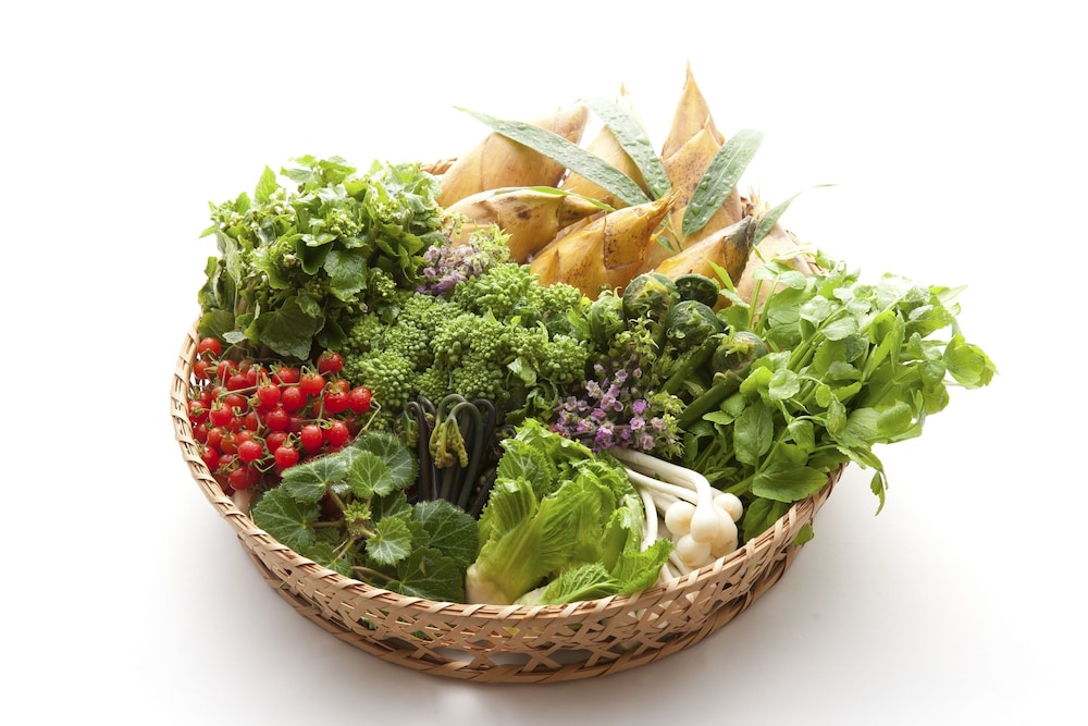 京都大原の料理旅館 芹生 京都