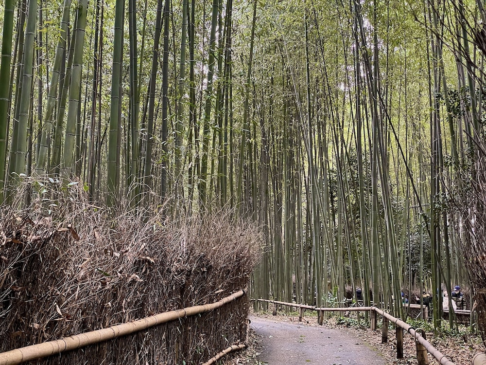 YADO ARASHIYAMA 京都