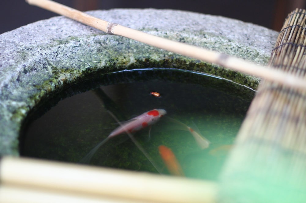 GUESTHOUSE KYOTO COMPASS 京都
