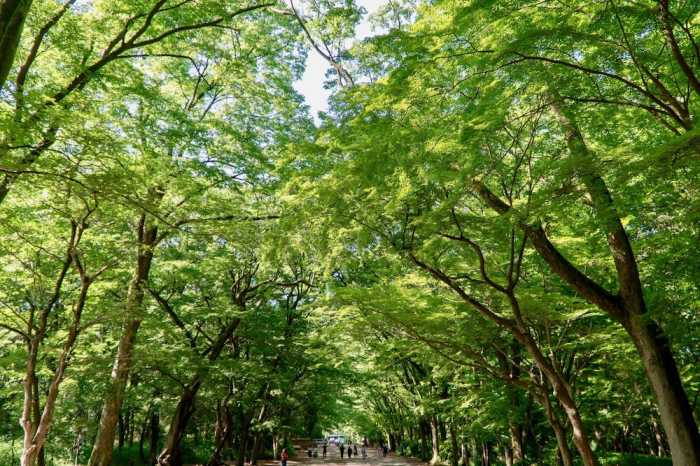 WEBASE 京都 京都