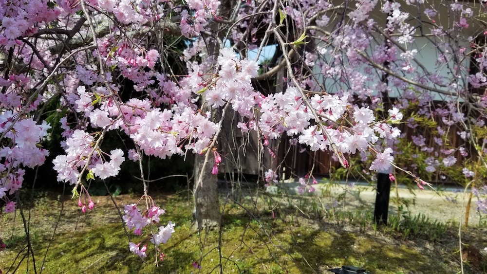 里の宿 康ノ家 京都