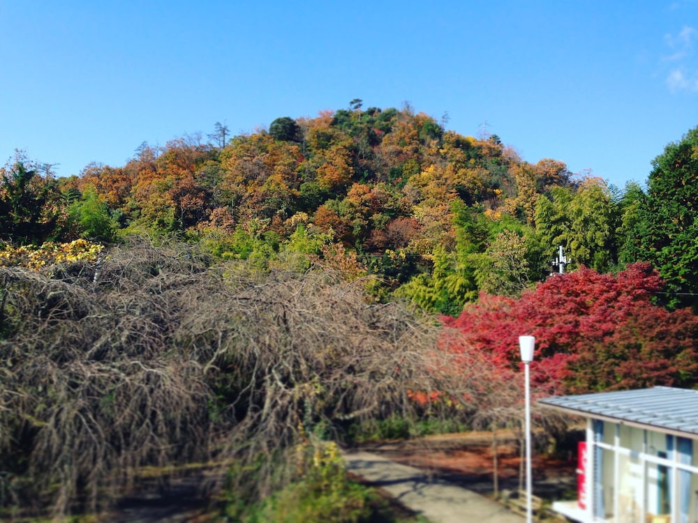 天橋立ユースホステル 京都