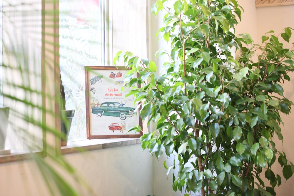 NORTH FRONT HOSTEL ノースフロントホステル 京都