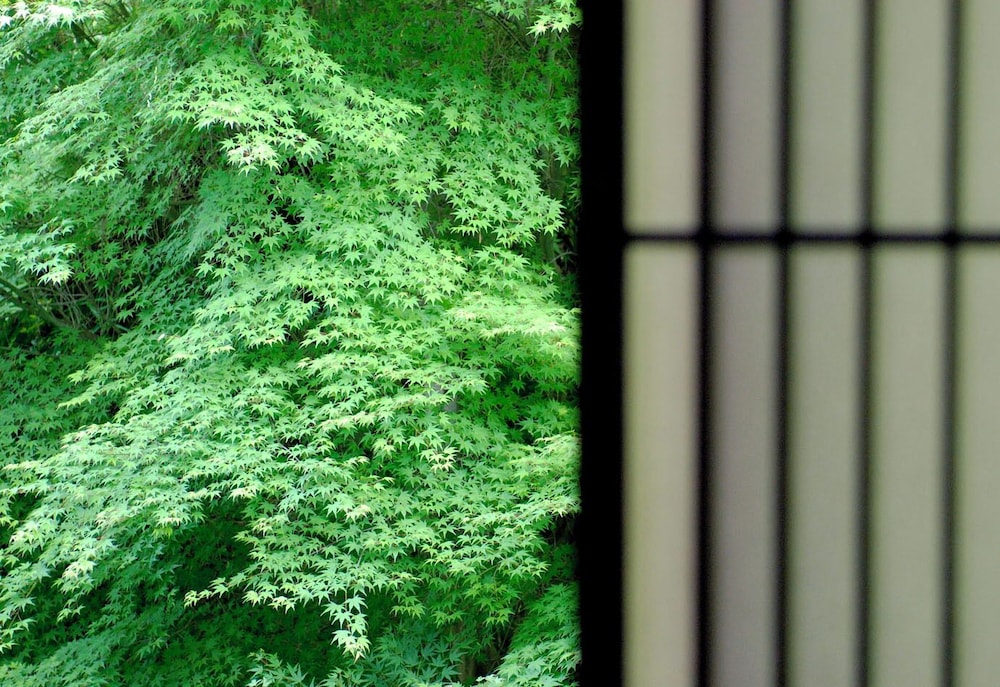 旅館 すみや亀峰菴 京都