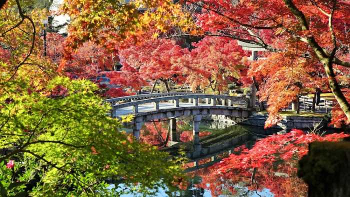 京の温所 御幸町夷川 #3 京都