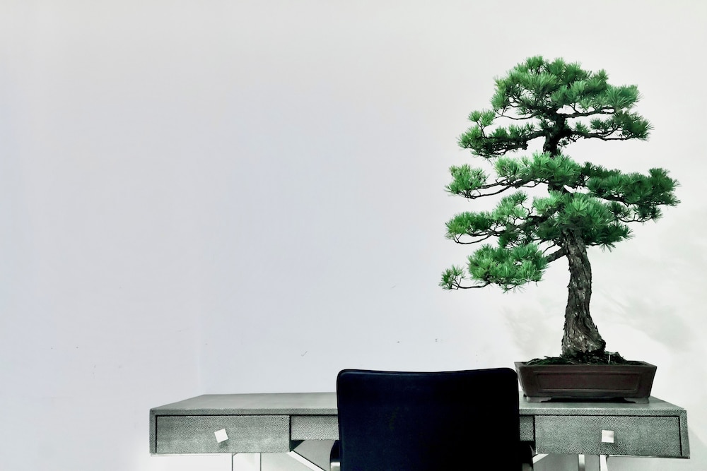 THE ROOT2 HOTEL 京都