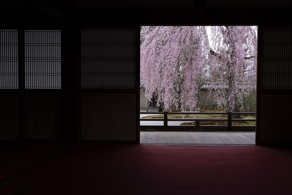 パーク ハイアット 京都 京都