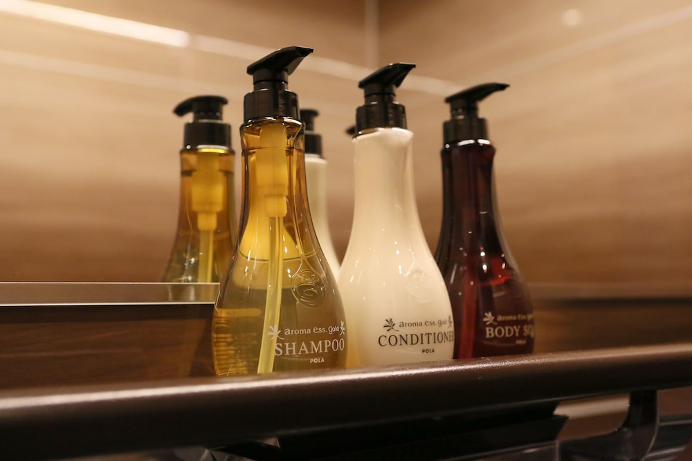 ホテル バニスター 京都 京都