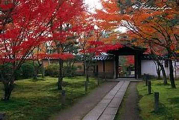 ABBEY ROAD INN SEIKA 京都