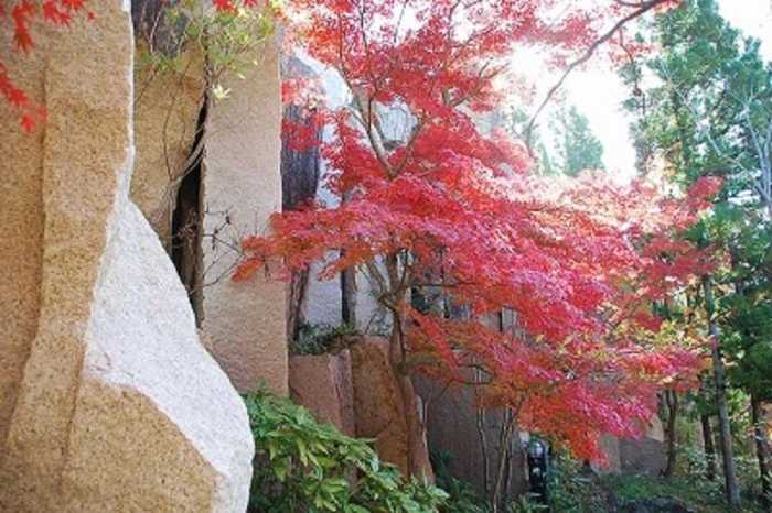 ABBEY ROAD INN SEIKA 京都