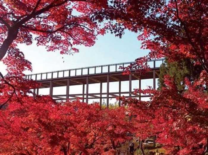 ABBEY ROAD INN SEIKA 京都