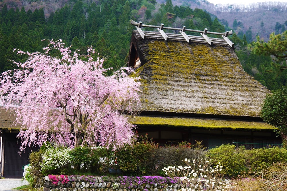 料理旅館 枕川楼 京都