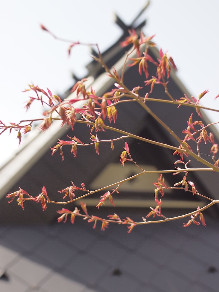 BISHAMON HOUSE 京都