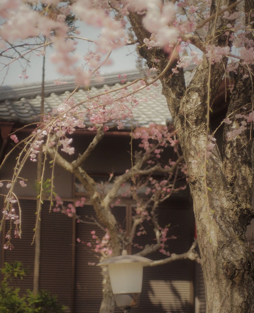 BISHAMON HOUSE 京都