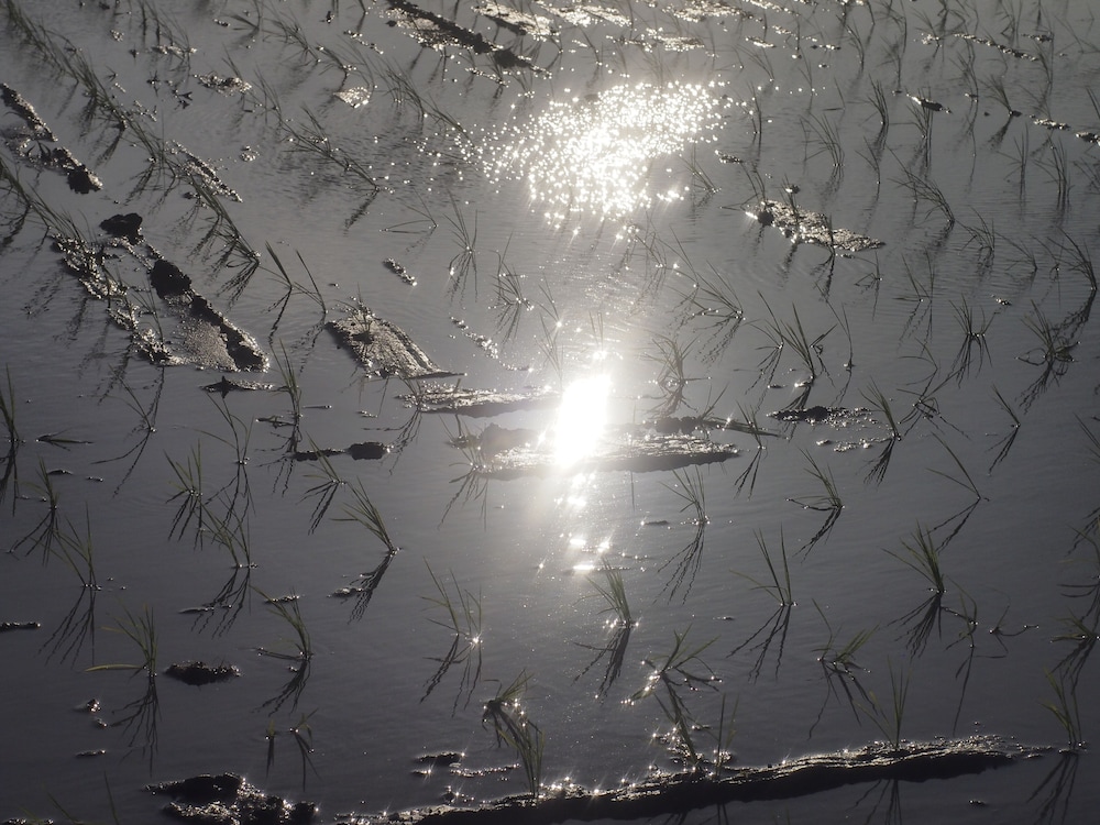 BISHAMON HOUSE 京都