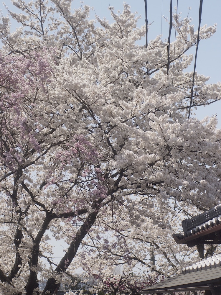 BISHAMON HOUSE 京都