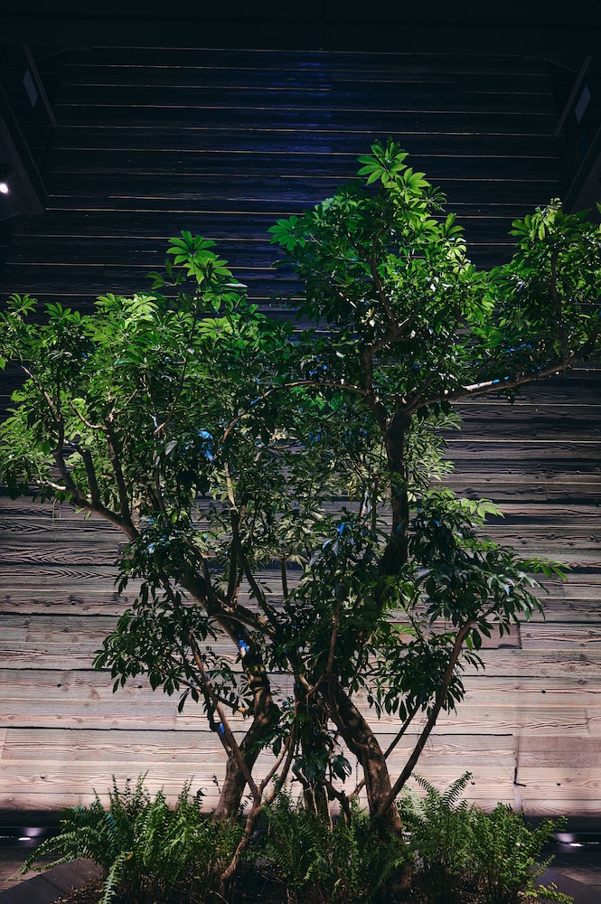 NOL KYOTO SANJO 京都