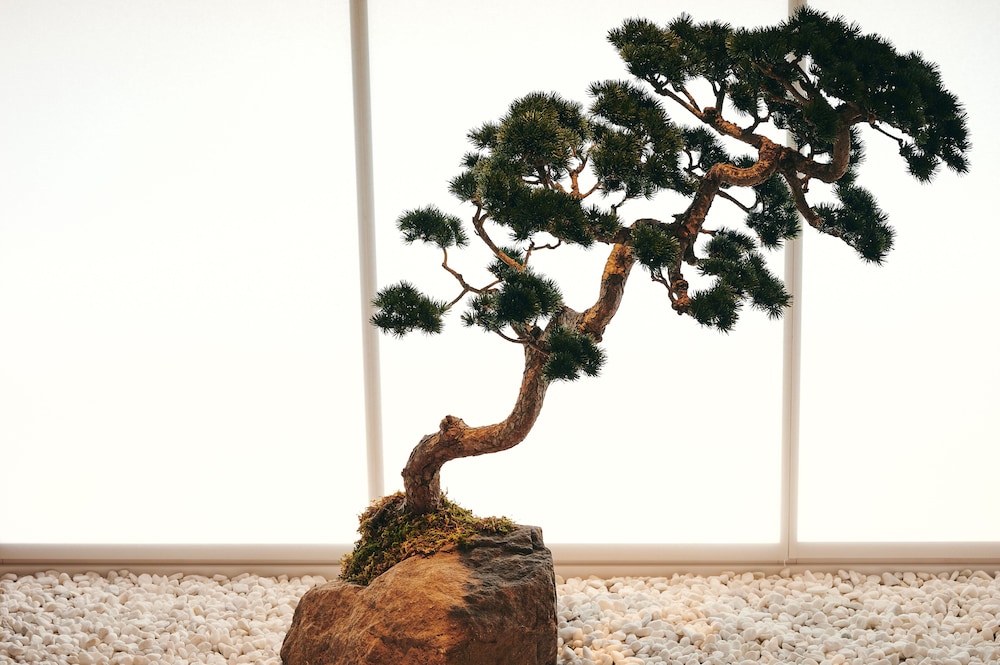 NOL KYOTO SANJO 京都