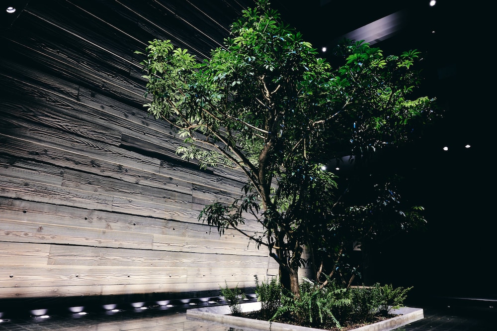 NOL KYOTO SANJO 京都