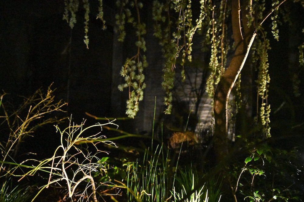 NOL KYOTO SANJO 京都