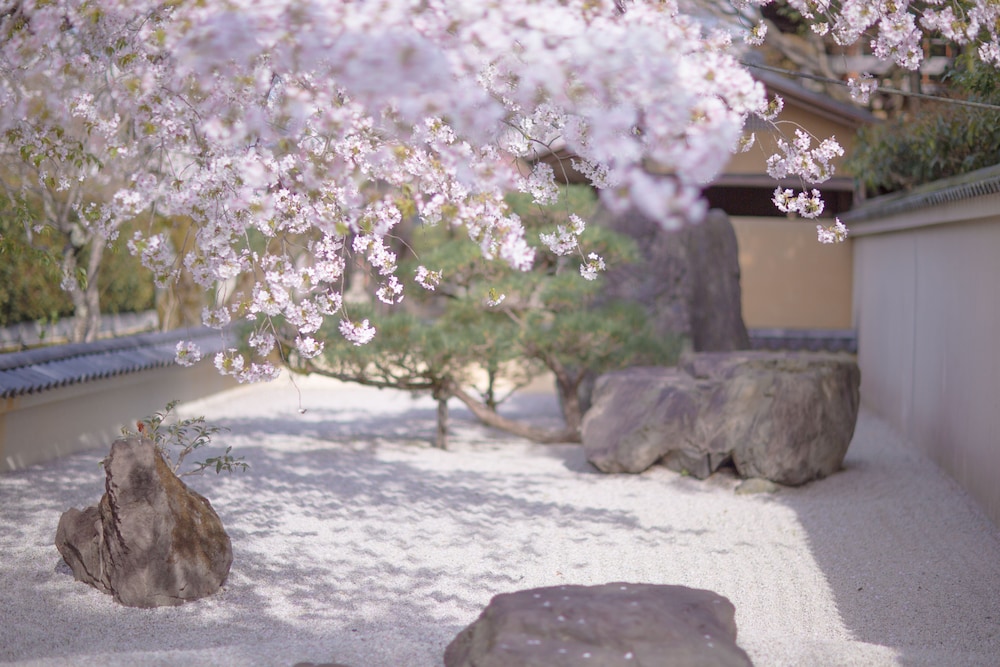 京都伏見 お花 京都