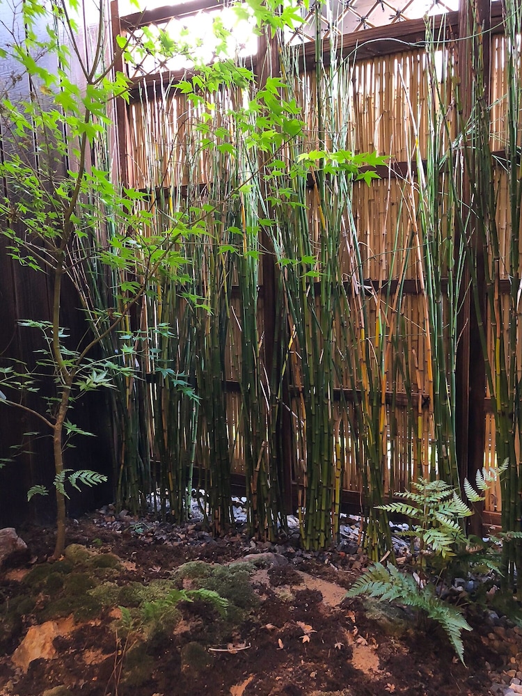 色繪古都 京都