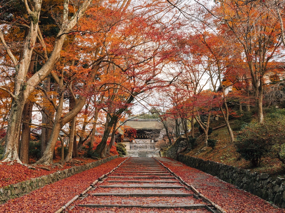 京都山科 ホテル山楽 京都