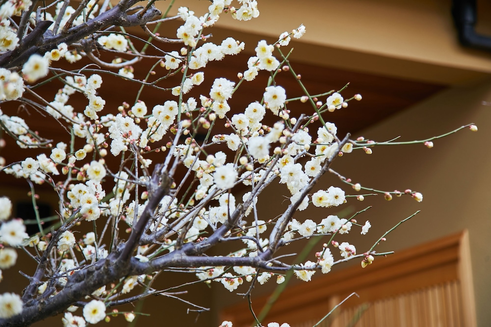 HANARE KYOTO 御宿 長谷川 京都