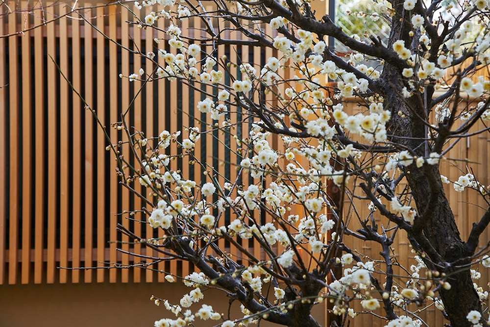 HANARE KYOTO 御宿 長谷川 京都