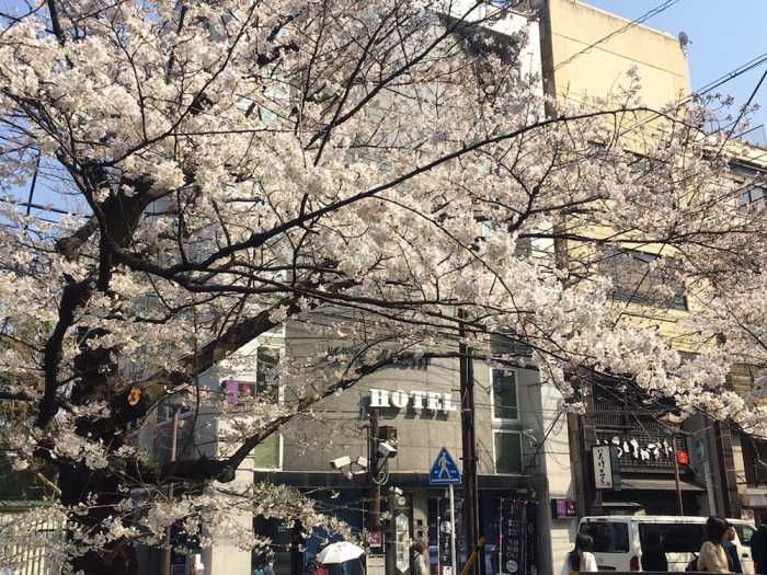 京都先斗町 ホテル ぽんと (HOTEL PONTO) 京都
