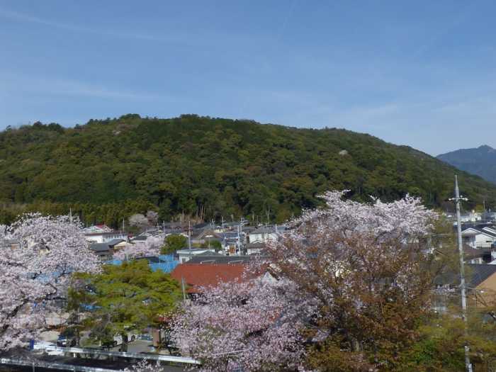 SAIZEN 松室 STAY 京都