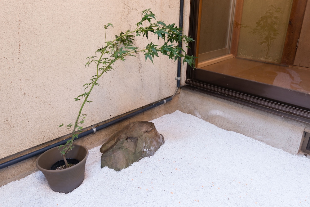 京小宿 木漏れ日 京都