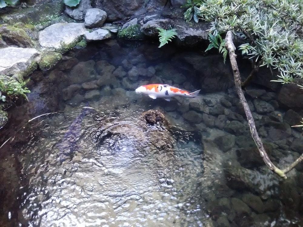 宿屋 枳殼荘 京都