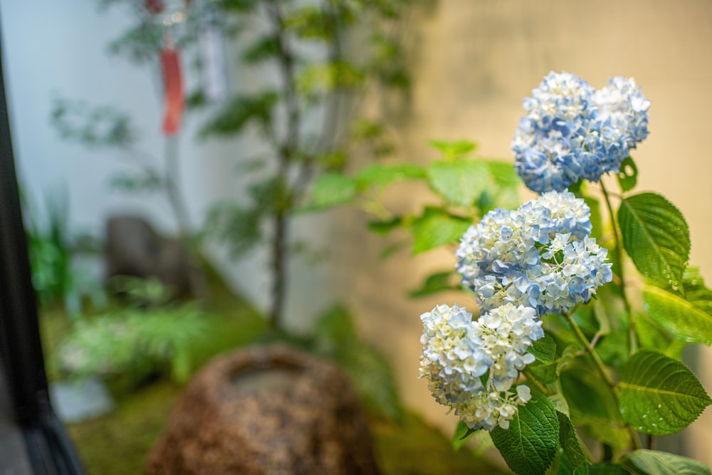 TABITABISTAY｢SHINSEN｣ 京都