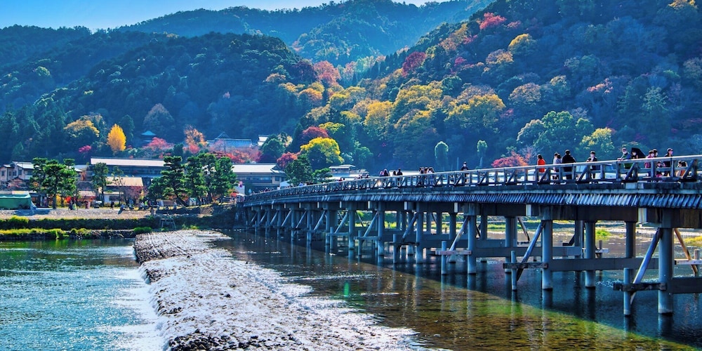 離宮庵 京都西京極 京都