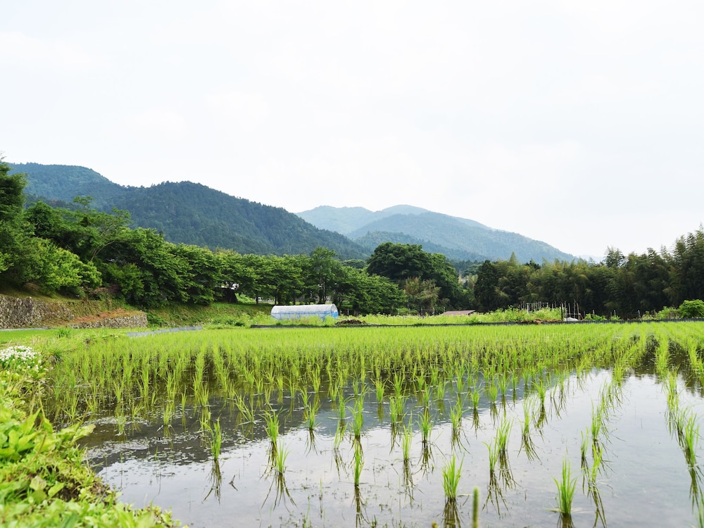 魚山園 京都