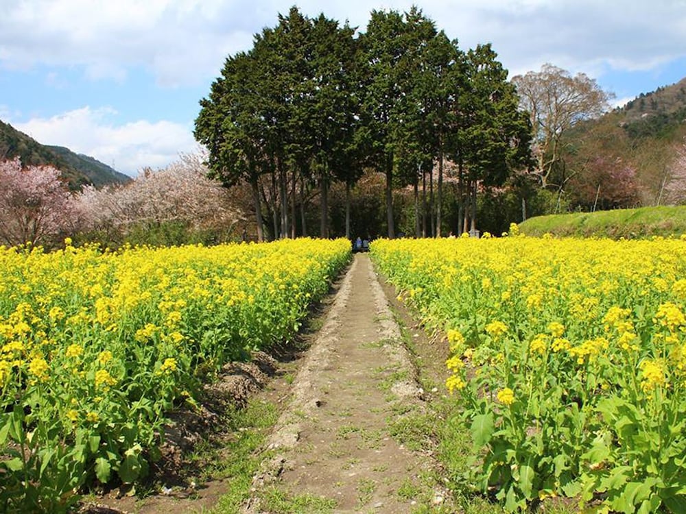 魚山園 京都