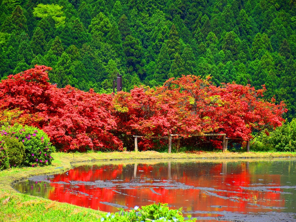 魚山園 京都