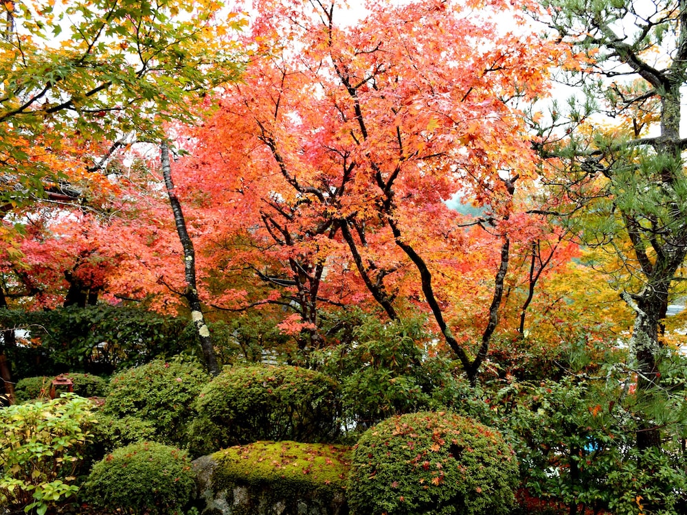 魚山園 京都