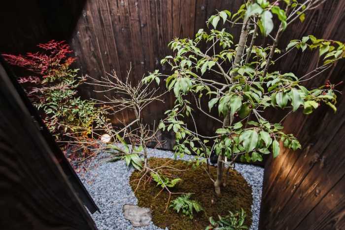 KYOTO KIYOMIZUDERA MUYUSYA 京都