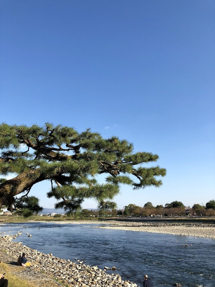 京町家 椿庵 京都
