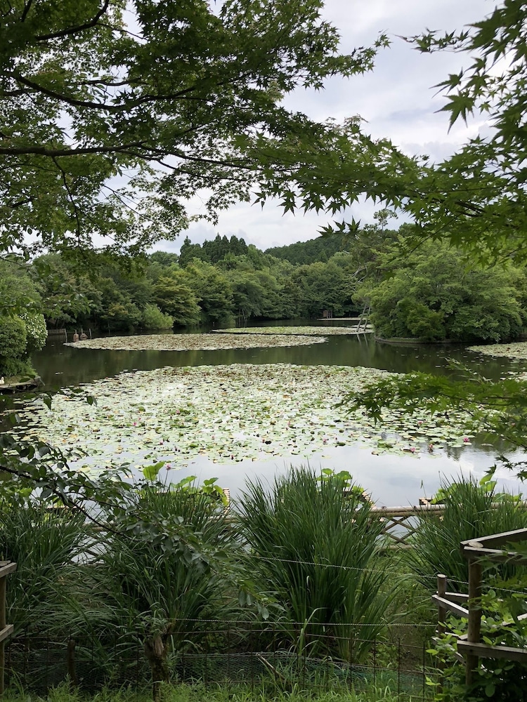 京町家 椿庵 京都