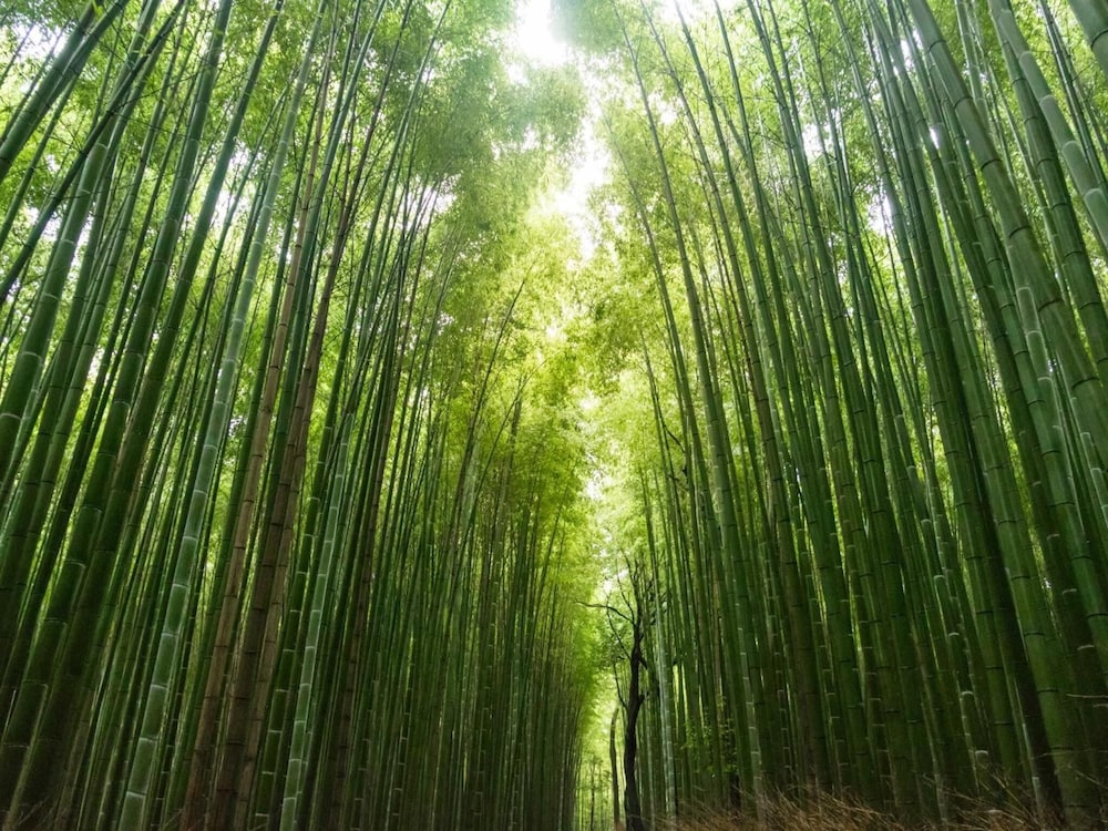 京都街宿四条烏丸 京都