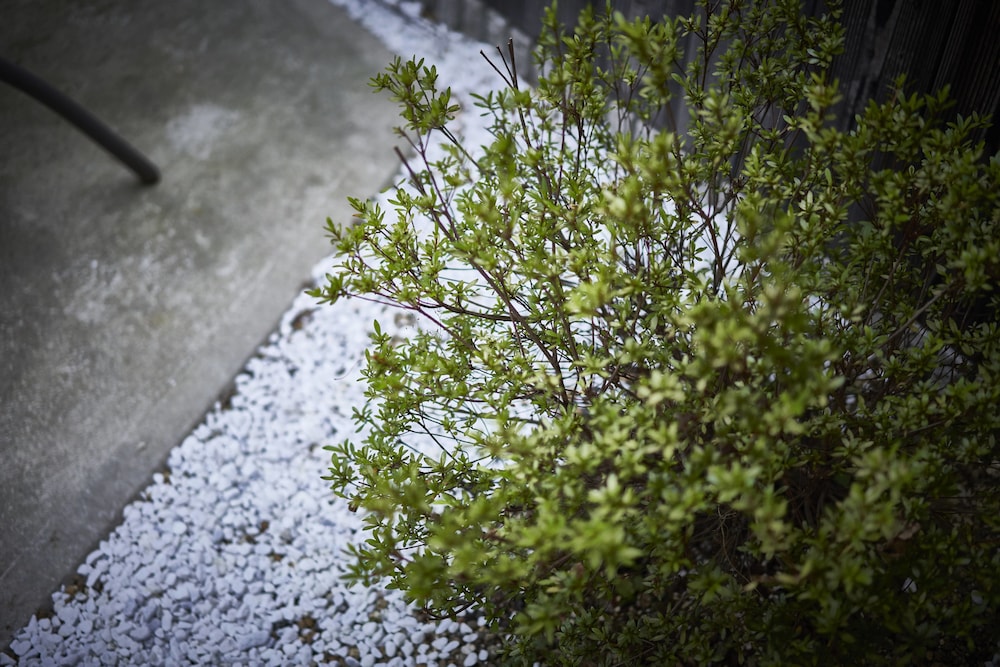 KITANO TENMANGU 京都